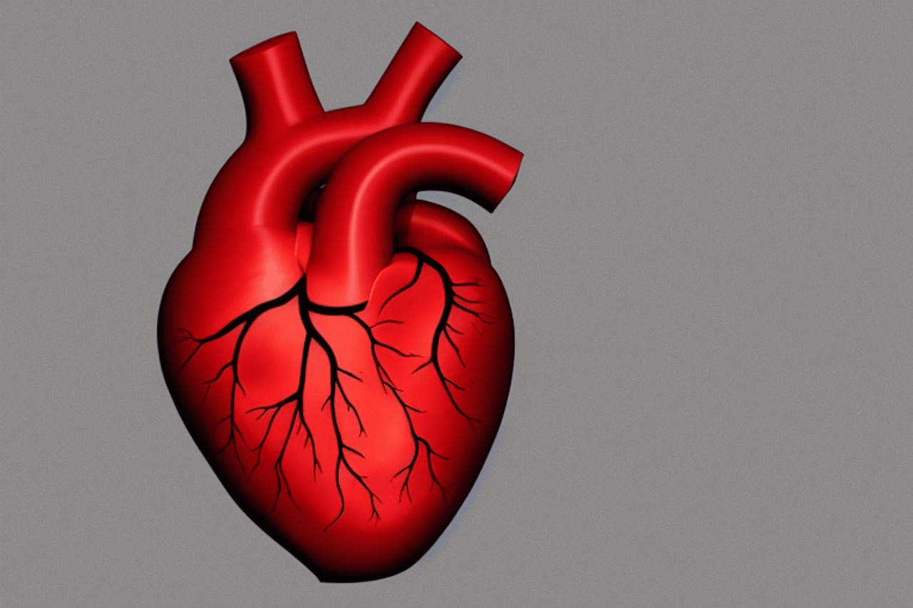 Illustration of a human heart, used as a featured image for an article about A-wave raising $3.5 million in Series B funding to develop a cardiac monitoring system for chronic heart failure.