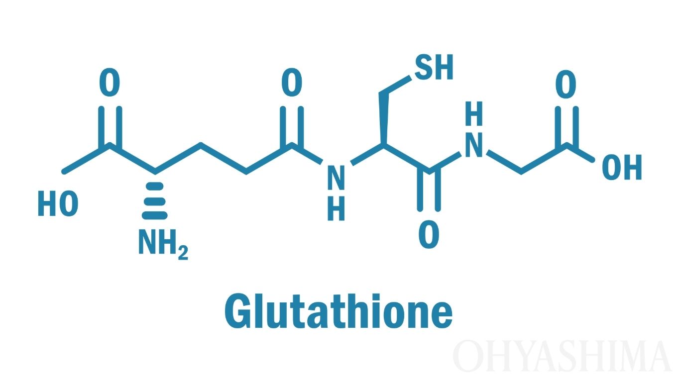 WAKU raises $3m. The structural formula of glutathione signals that this is an article about WAKU, the company that has made the compound its core technology.